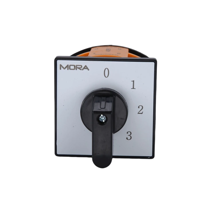 Interruptor giratorio de cambio de 2 polos